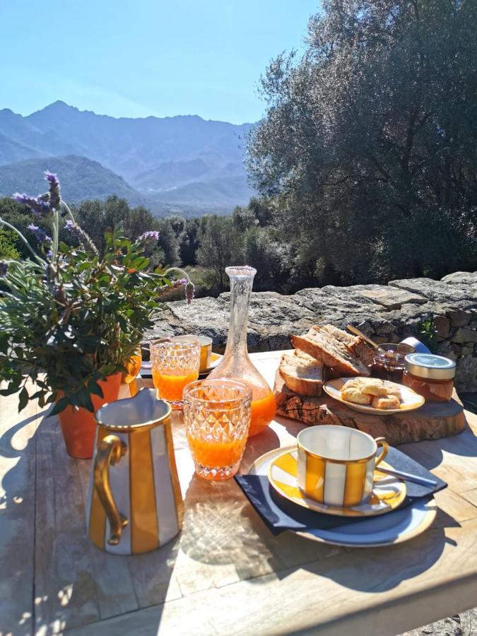 L'aghjalle * Santa-Reparata-di-Balagna